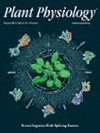 植物生理學雜志