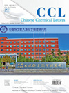 中國化學快報雜志